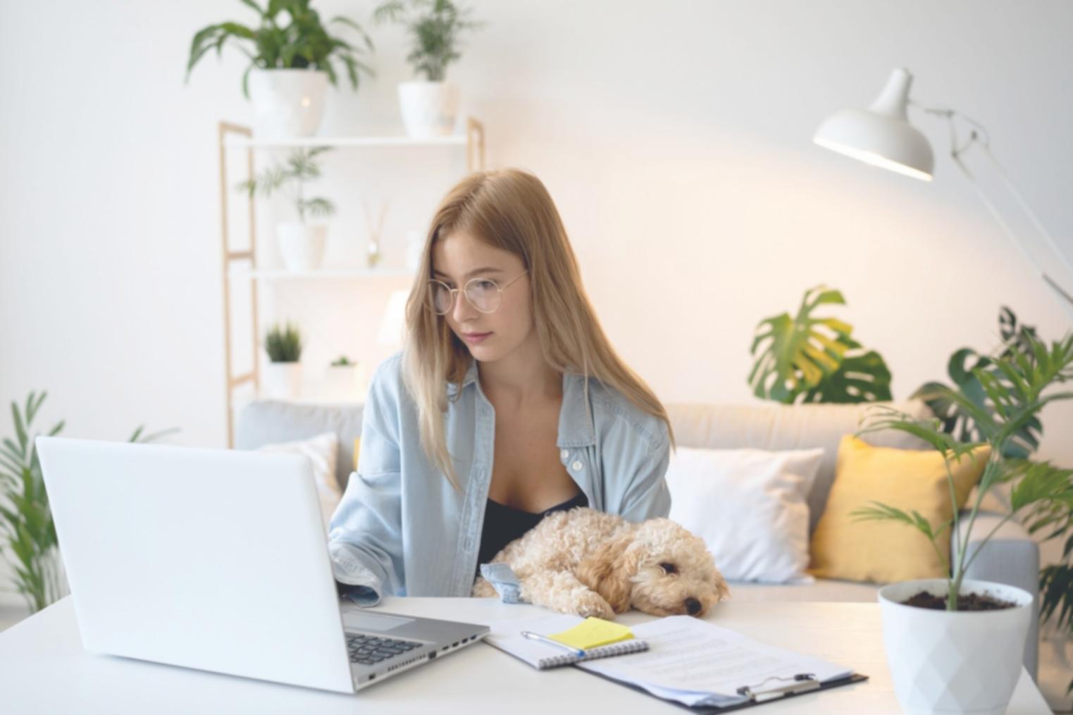 Budget Tracking und Kontrolle